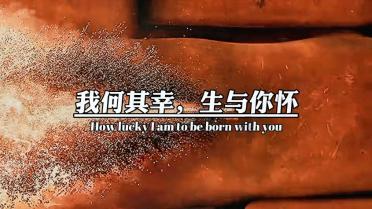 格斗巅峰大作战